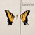 A split-screen image with a butterfly on the top-left, yellow text on black backgrounds, and a gray on the bottom-right