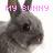 Gray rabbit with black eyes and brown inner ears, pixelated text overlays in pink, static image with no visible motion.