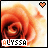 Animated contact sheet of a 48x48 pixel buddy icon showing a rose with changing heart and text colors across six frames.