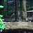 Animated sequence of a gray wolf walking left to right across a forest floor with green foliage on the sides.