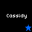 Four display the name 'Cassidy' with a star symbol changing color between blue and black on different backgrounds