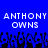 Blue background with white pixelated text reading 'ANTHONY ANTHONY OWNS' repeated twice, black pixelated shapes below.