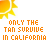 Pixelated sun icon with orange text reading 'ONLY THE TAN SURVIVE IN CALIFORNIA' on white background, showing color variations across frames.