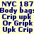 Static digital image with blue text on light background showing repeated phrases and numeric sequence.