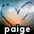 A heart-shaped icon with a gradient background transitioning from blue to orange, featuring the text 'paige' below.