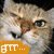 A cat's face with three colored banners displaying 'BTT...' text, each banner changing color across frames.