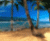 Tropical beach scene with palm trees, blue water, and sandy shore; text 'PARADISE' appears in lower-right corner.