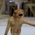 A pixelated animated contact sheet showing two frames of a character from Men in Black with green text reading "Original Icons .com" on the right side.