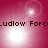 A four- of pink-toned animated icons with bright white light effects and repeated text reading 'Ludlow Forc' across the top and bottom