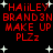 Red pixelated text on black background with white stars, displaying 'HAiILEY BRAND3N MAKE UP PLZz' in two identical vertical