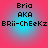 Four identical circular icons with cyan gradient backgrounds display text reading 'Bria AKA BRii-ChEeKz' in black pixelated font on a pink backdrop.