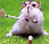 A 2x2 contact sheet of a pixelated animated golf-themed buddy icon featuring a hamster-like character with a golf club on grass, pink text "Let's Play", and blue background with "GOLF" text.