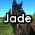 six horse images with overlaid text reading "Jade & Lucy Love Ponys+Horses" in bold white letters with black outlines