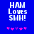 Blue background with white pixelated text 'HAM Loves SMH!' and five pink asterisk-like symbols below, two versions showing animation changes in symbol positions.