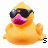 Animated contact sheet of a rubber duck mascot wearing sunglasses with text variations below each frame.