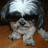 Pixelated static image of a dog with light-colored fur and dark eyes, wearing a large black hat against a brown background.