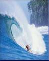 A static buddy icon depicting a surfer riding inside the barrel of a large ocean wave with white foam and blue water, set against a backdrop of trees on a distant shore.