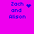 A bright pink background displays four identical text blocks reading "Zach and Alison" in blue pixelated font, with two different animated symbols replacing the heart or star between Zach and Alison.