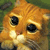 A pixelated orange cat face with large black eyes and white muzzle on a green background, next to text reading "MyBuddy Icons.com" on a peach background.