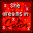 16 red pixelated icons with white sparkles, each displaying "She dreams in" text above a stylized word that changes color across frames