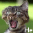 A 6-frame animated contact sheet showing a tabby cat with wide eyes and open mouth across six panels, each containing one word of the phrase "He Just Saw Yo Mama" in white pixelated text.