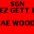 Red background with black pixelated text repeating 'SGN EZ GETT' and 'AE WOOD' in two , featuring a bright white circular glow that shifts position between frames