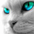 Animals icons for AIM, MSN, MySpace and Yahoo