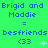 Green background displays blue text 'Brigid and Maddie' with equals sign, 'besfriends', '<33', and changing symbols across three