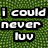 Six distinct pixelated display text and imagery including 'I could never luv', 'anyone like lilu', a heart on an arm, 'to bad he doesnt luv me...', purple roses, and a green eye