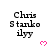 Pixelated text 'Chris Stankovilyy' appears above a pink heart symbol on white background, with one instance showing grayed-out lower-right corner.