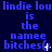 Blue pixelated text on dark blue background repeats 'lindie lou is the namee bitches(' with varying punctuation and a white cursor-like mark.