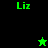 Green text 'Liz' appears on black and green backgrounds with a pixelated star icon changing from green to black.