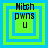 Four identical pixelated frames display layered green and blue squares with text reading 'Nitch pwns U' in black block letters.