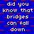 Blue background with red checkered pattern and repeated white text reading "did you know that bridges can fall down" in pixelated font.