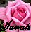 A pink rose with layered petals and green foliage, featuring black stylized text at the bottom and a small dark shape in the top-left corner.