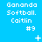 Blue background with white pixelated text reading "Gananda Softball. Caitlin #9" repeated across three , featuring small animated symbols like plus signs and dots