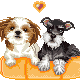 Pixelated dog pair on orange platform with heart and diamond symbols above, transitioning to husky head expressions.