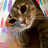 Pixelated image of a brown dog with white markings, colorful splatter background, and text reading 'my kitty!' on a blue-black