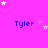 A static image with a bright pink background featuring repeated blue text "Tyler" and scattered white stars.