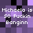 Pixelated text repeats 'Michaela is 50 Fuckin Banginn' across a purple and black checkered background with no visible animation changes.