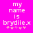 Pixelated text on bright pink background reads 'my name is brydiie.x' with five small pink plus signs below, two versions differ in letter spacing.