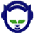 A 50x50 pixel buddy icon featuring a blue shield-shaped frame with green eyes and a white face on the left, next to green text reading "Original Icons .com" on a dark green background.