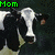 Four- shows cow faces and a hamburger with text labels; green "Mom" and "Dad," red "Ohh?" appear on dark backgrounds