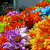 Pixelated floral scene with purple and white flowers, orange and yellow foliage, and blue accents against a gray background.