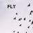 Animated icon with 'FLY' text at top, changing purple and teal text below against a light background with scattered black shapes.