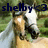 A pixelated image shows a figure with light hair and a white top against a green background, with dark text reading 'shelby' and '3' at the top.