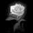 Pixelated grayscale icon of a flower with layered petals and stem against black background.