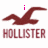 Three variations of a maroon seagull logo above 'HOLLISTER' text on white backgrounds, with one showing pink pixelated text above the bird.