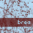 A static image with a light blue background patterned by dark red branching lines, overlaid with four horizontal brown bars containing repeated text and small white dots.