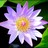 Static 48x48 pixel icon of a stylized water lily with purple petals and yellow center against green foliage background.